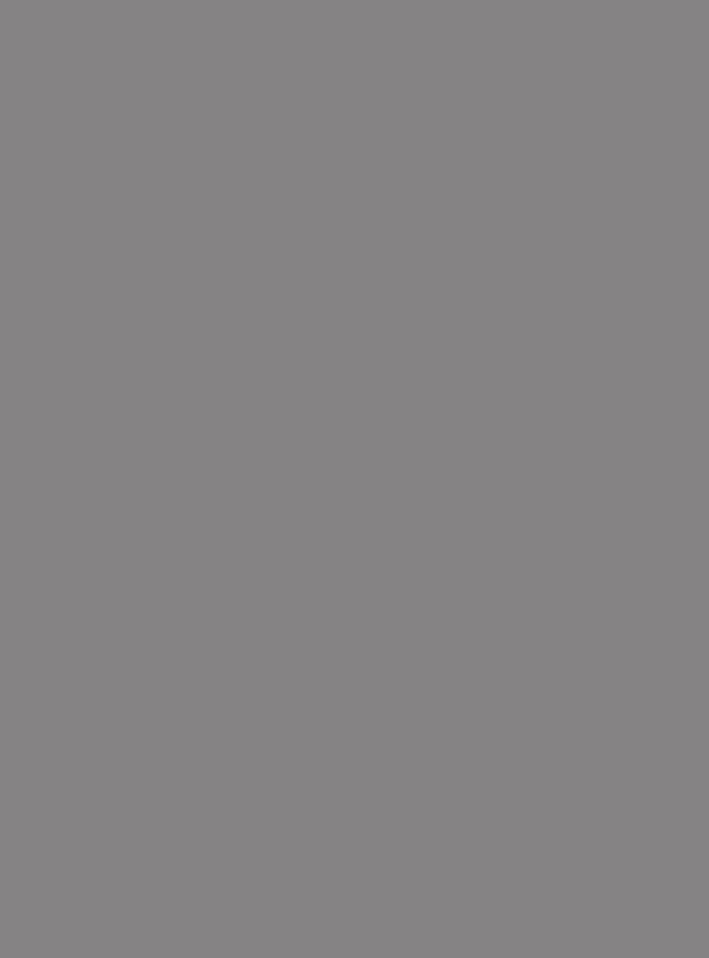 ЛДСП 16х2,80х2,07 Серый Шифер 0171 PE (3 Color Basic) (30листов)