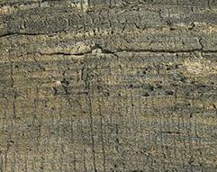 Плинтус для столешниц 20х20х3,0 м Дуб кантри (ф-ра 1513) (25шт.)